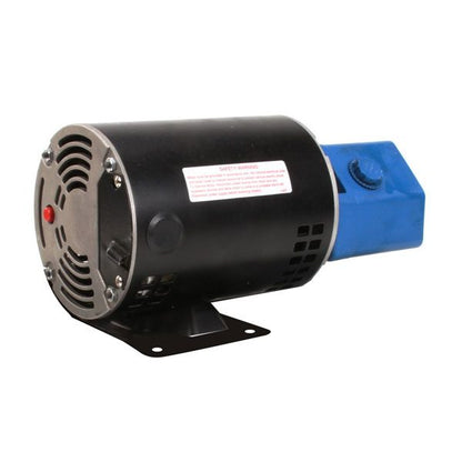 Viking pump and motor